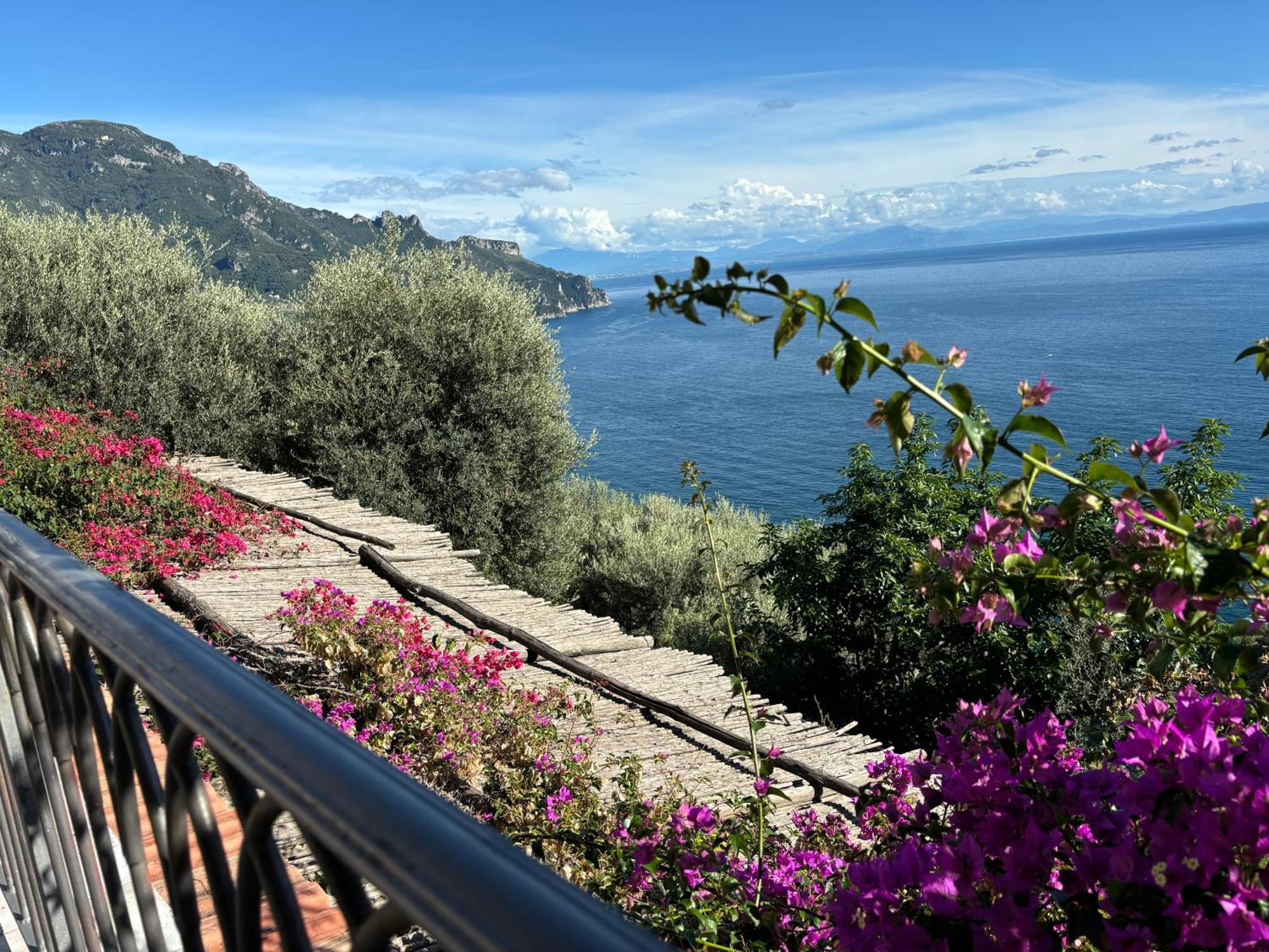 Suite I Limoni Ραβέλλο Εξωτερικό φωτογραφία